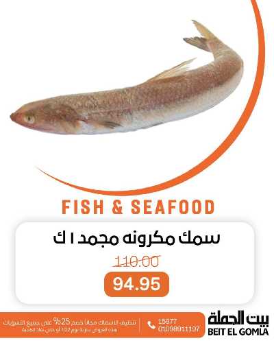 عروض الثلاثاء على الاسماك من بيت الجمله 2