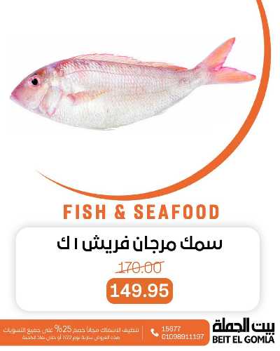 عروض الثلاثاء على الاسماك من بيت الجمله 8