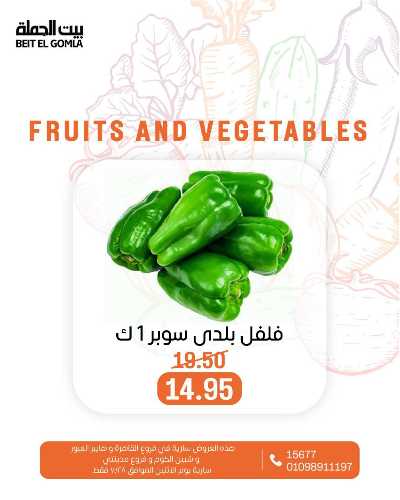عروض الاثنين من بيت الجمله  15