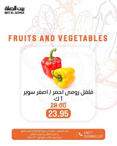 عروض الاثنين من بيت الجمله  17