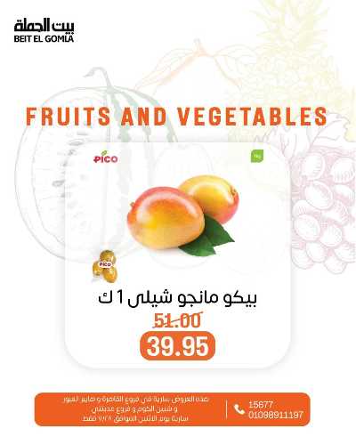 عروض الاثنين من بيت الجمله  4