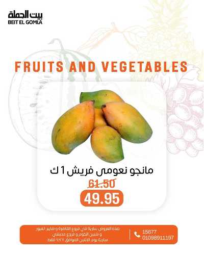 عروض الاثنين من بيت الجمله  5