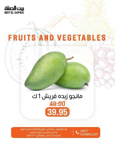 عروض الاثنين من بيت الجمله  6