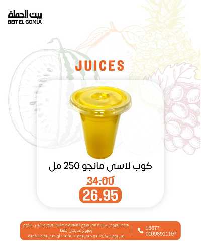   عروض الفريش من بيت الجمله  15