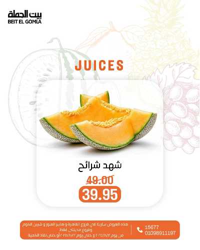   عروض الفريش من بيت الجمله  17