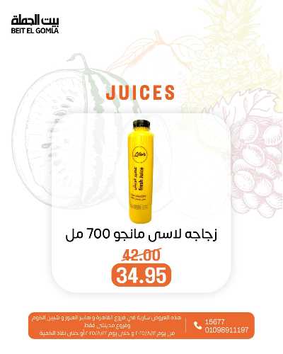   عروض الفريش من بيت الجمله  2