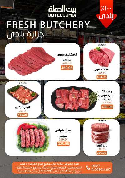   عروض المدارس  من بيت الجمله  4
