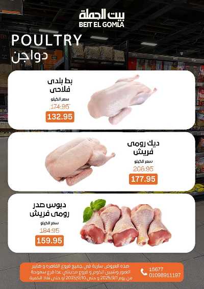   عروض المدارس  من بيت الجمله  6