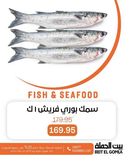 عروض الثلاثاء على الاسماك من بيت الجمله 2