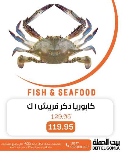 عروض الثلاثاء على الاسماك من بيت الجمله 4