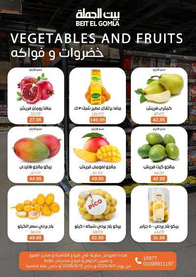   عروض الويك اند  من بيت الجمله  11