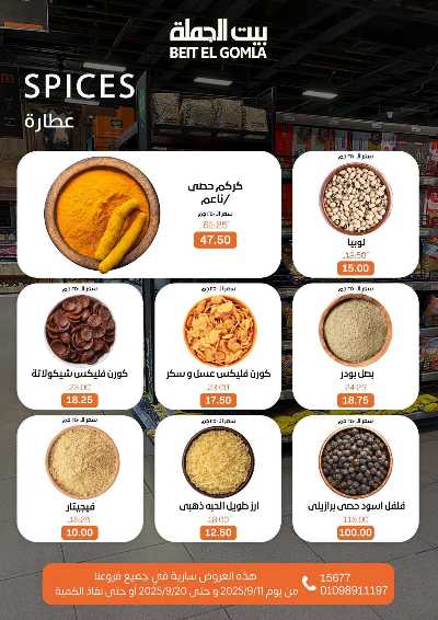   عروض المدارس  من بيت الجمله  10