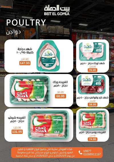   عروض المدارس  من بيت الجمله  9
