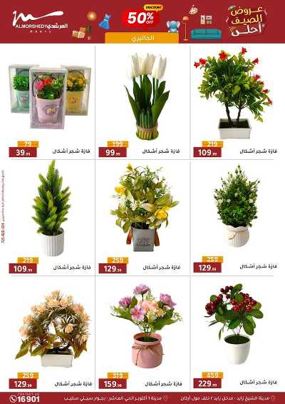عروض الصيف  من المرشدى 137