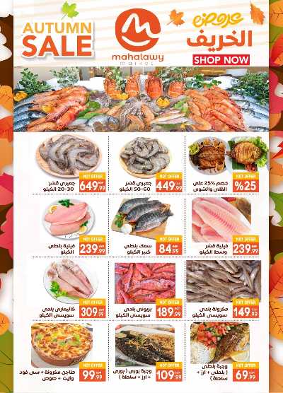  عروض الخريف  من اولاد المحلاوي 8