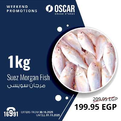 عروض نهاية الاسبوع من اوسكار 6