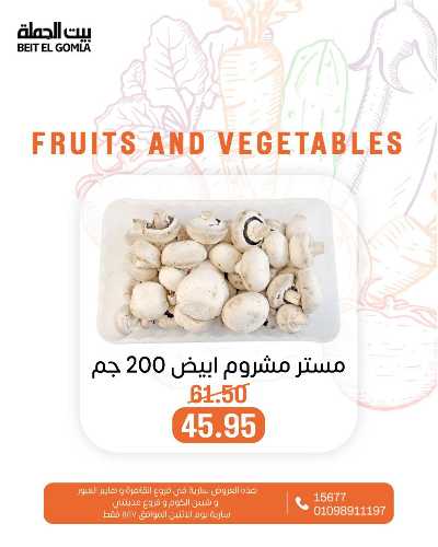 عروض الاثنين من بيت الجمله  13