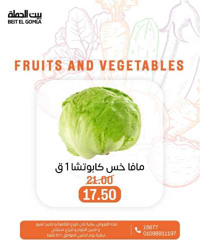 عروض الاثنين من بيت الجمله  15