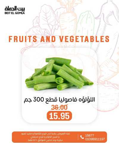 عروض الاثنين من بيت الجمله  16