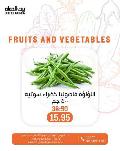 عروض الاثنين من بيت الجمله  17