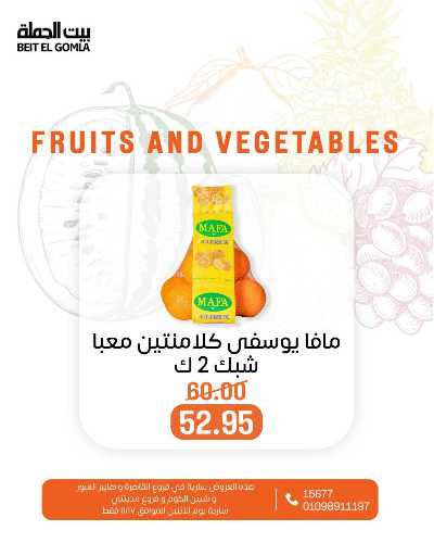 عروض الاثنين من بيت الجمله  6