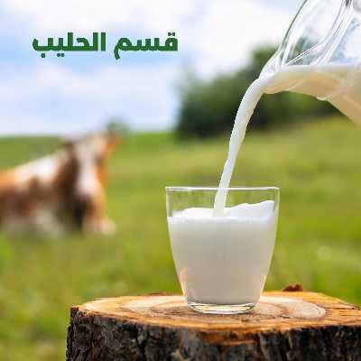 عروض ابريل من جمعية الضاحية والمنصورية  15