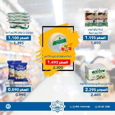 عروض ابريل من جمعية الضاحية والمنصورية  42