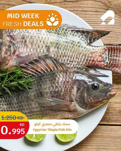 عروض الطازج من سيتى هايبر 4