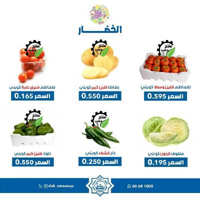 عروض الاربعاء من جمعية الضاحية والمنصورية - خضار وفاكهه 2