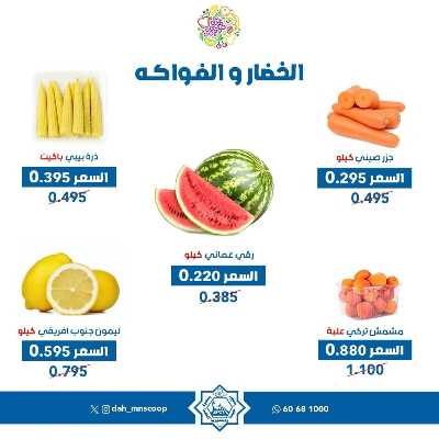 عروض الاربعاء من جمعية الضاحية والمنصورية - خضار وفاكهه 3