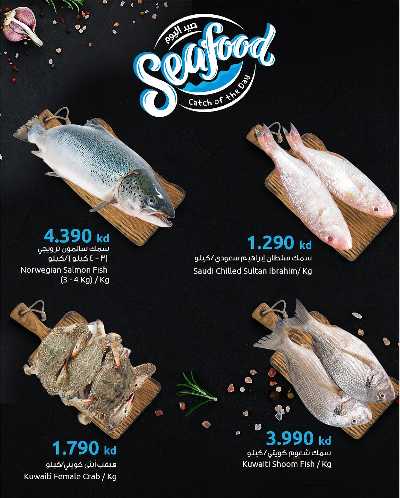 عروض الأسماك من مركز سلطان 2