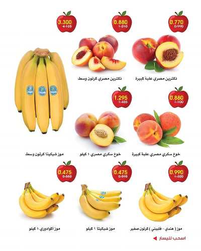  عروض جمعية الروضة وحولى  4