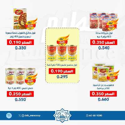 عروض جمعية الضاحية والمنصورية  11