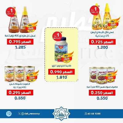 عروض جمعية الضاحية والمنصورية  12