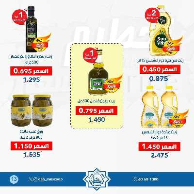عروض جمعية الضاحية والمنصورية  13