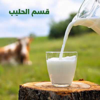 عروض جمعية الضاحية والمنصورية  35