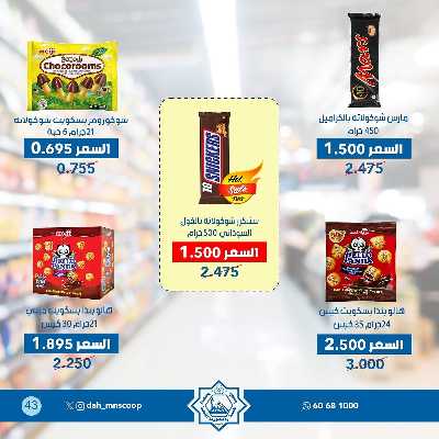 عروض جمعية الضاحية والمنصورية  43