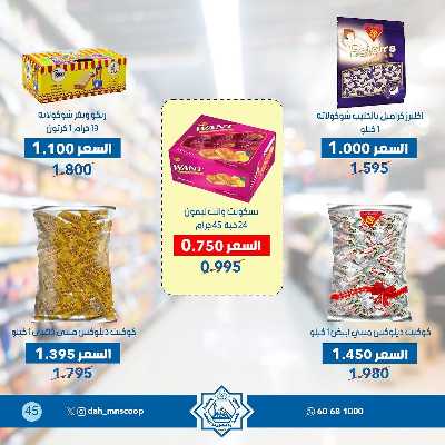 عروض جمعية الضاحية والمنصورية  45