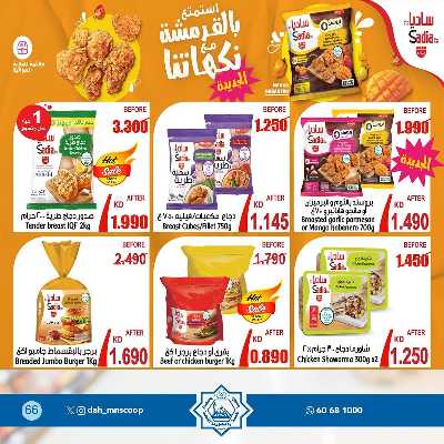 عروض جمعية الضاحية والمنصورية  68