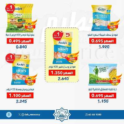 عروض جمعية الضاحية والمنصورية  8