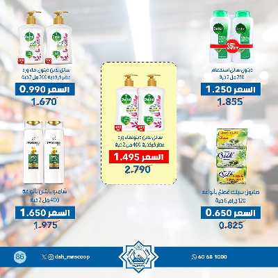 عروض جمعية الضاحية والمنصورية  88