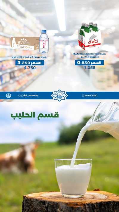 عروض جمعية الضاحية والمنصورية  19