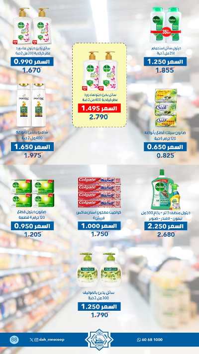 عروض جمعية الضاحية والمنصورية  44