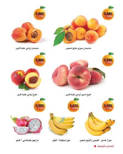  عروض جمعية الروضة وحولى  4