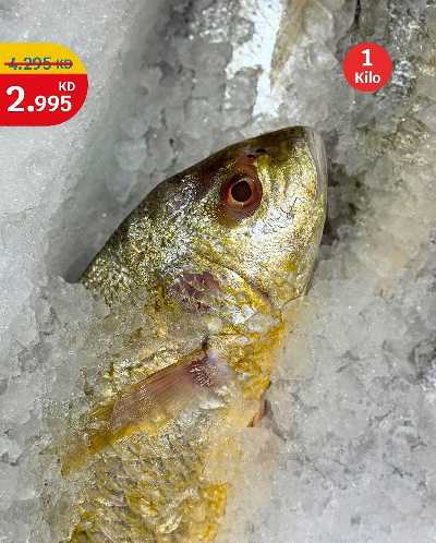 عروض الطازج من سيتى هايبر 9