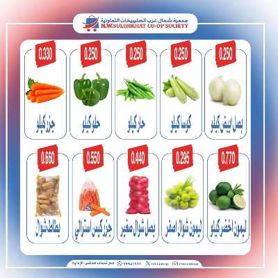 عروض الاحد من جمعية  شمال غرب الصليبخات 3