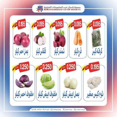 عروض الاحد من جمعية  شمال غرب الصليبخات 2