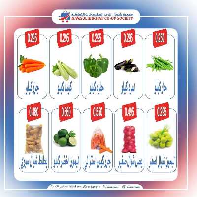 عروض الاحد من جمعية  شمال غرب الصليبخات 3
