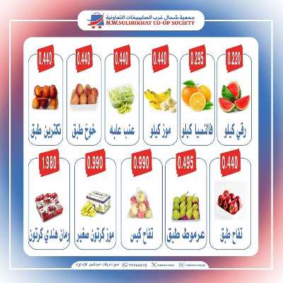 عروض الاحد من جمعية  شمال غرب الصليبخات 4