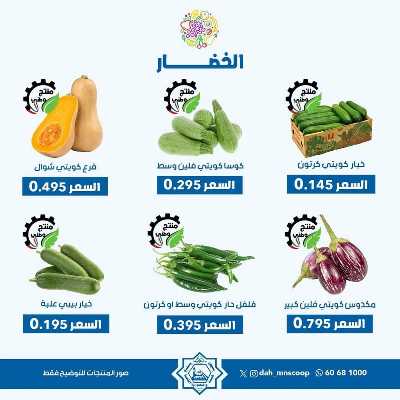 عروض الاربعاء من جمعية الضاحية والمنصورية - خضار وفاكهه 2